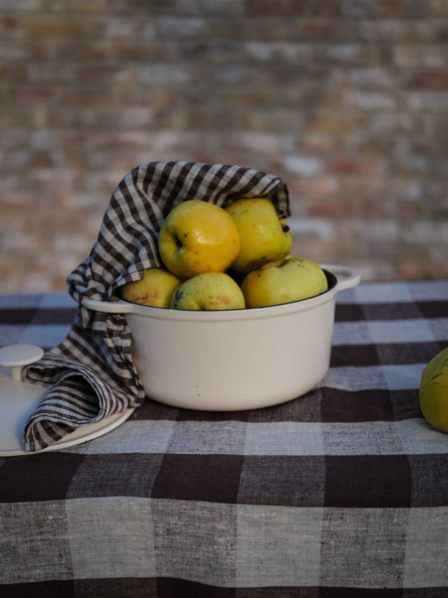 Nappe Choco Grand Check avec serviette vichy et coupe de fruits