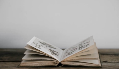 Livre ouvert relié en toile pour un article sur le lin en reliure
